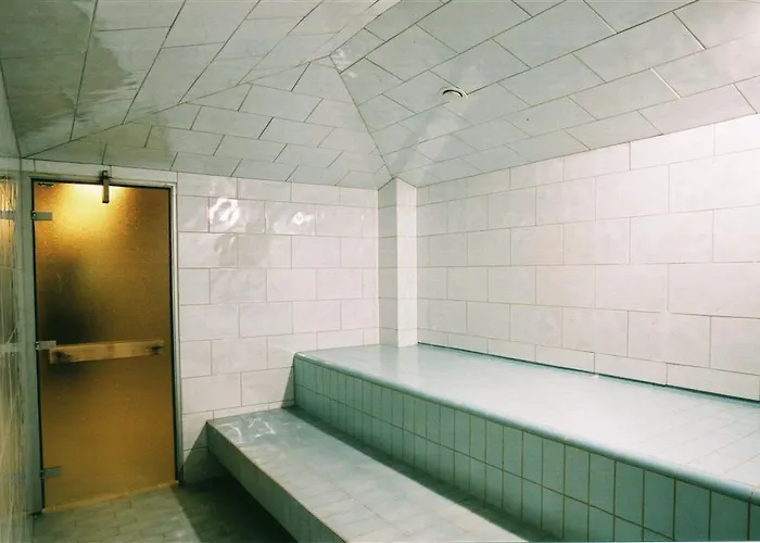 Kajanus 4* 카야니