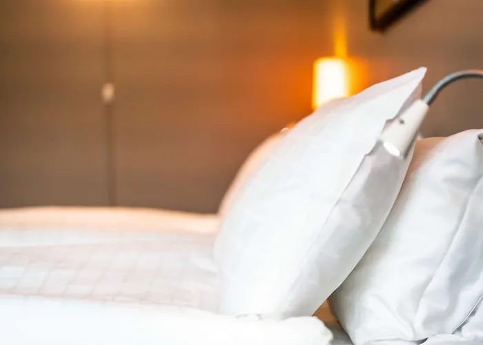 Kajanus 호텔 카야니